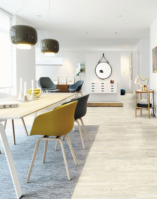 Surya Interiors
